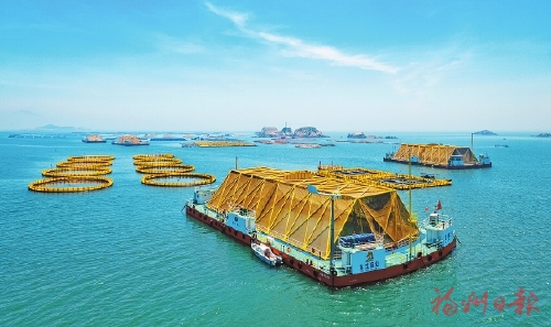 20241223_001_02_46.jpg 20241223_001_02_46.jpg